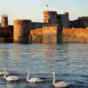 medtechgal2003 avatar