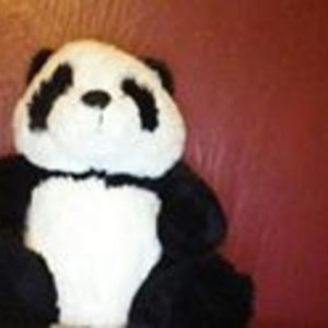 oldwomaninashoe avatar