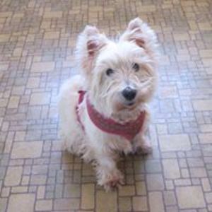 debra_travers avatar