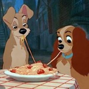 willikampmann avatar