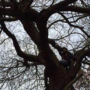 myrrhe_dhoore avatar