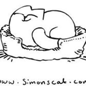 simone_sonnenschein avatar