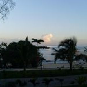 margaretelisabeth avatar