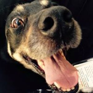 justine_weatherilt avatar