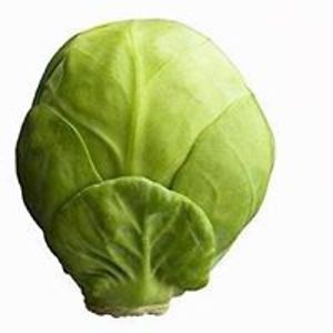 michele_cowie avatar