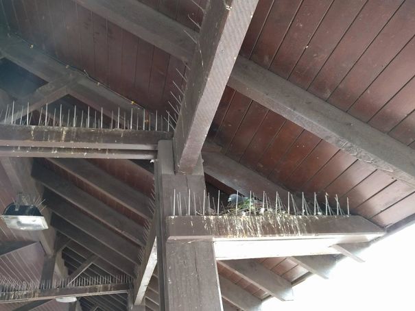 Rules Are Made To Be Broken