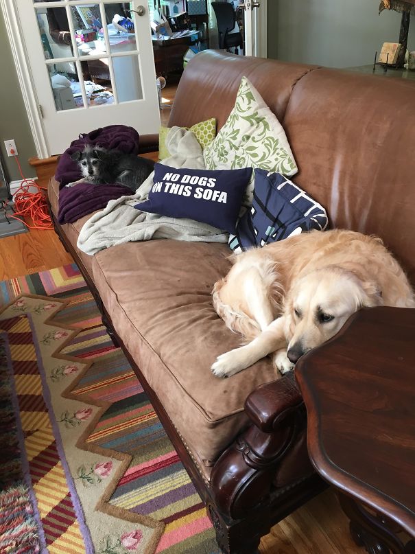 Rebels Without A Cause