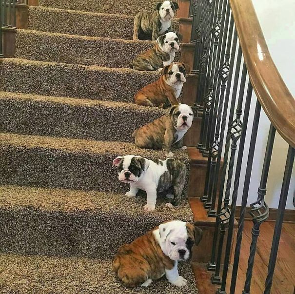 Get With The Program, Fred