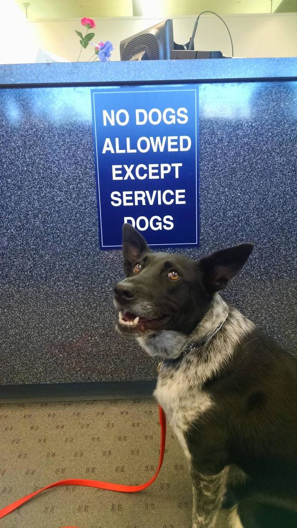 Breaking All The Rules, 'Cause She Thinks She's People