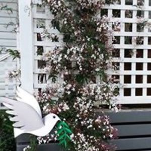 aloha_valentine_monday avatar