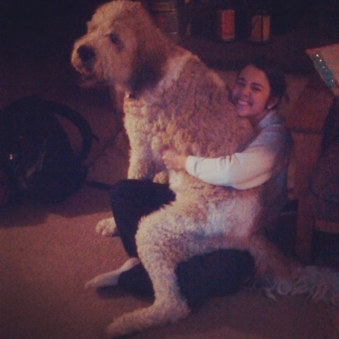 Meet Rupert The Giant