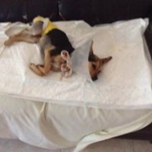 stephen_tranmere avatar