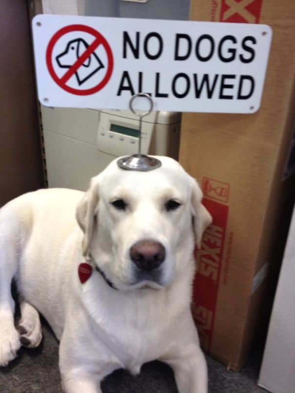 "What Are You Gonna Do About It?"