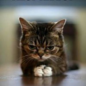 kbharaninath1978 avatar