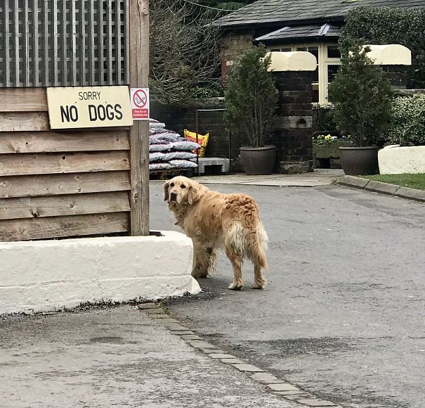 F**k Em, I'm Going In Anyway