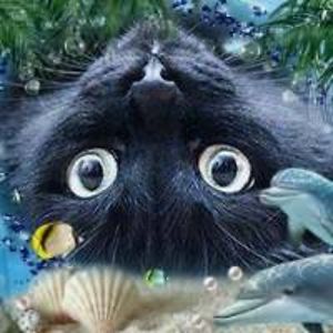 mireille_hamel avatar