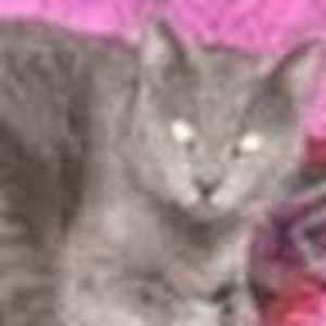 marinaheilman avatar