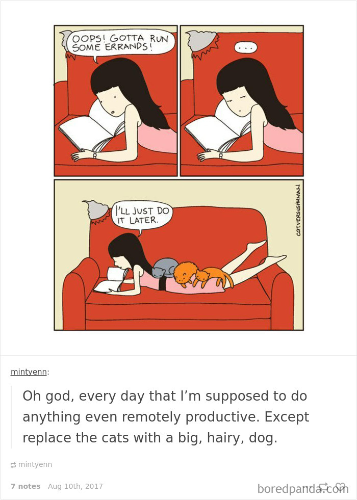 Funny-procrastination-memes