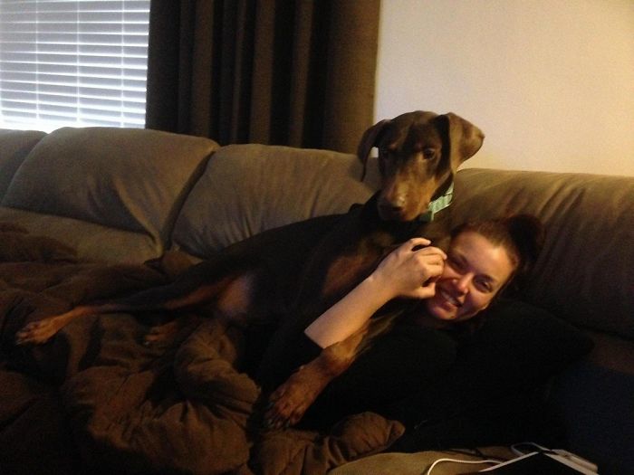 Medium Sized Lap Dog