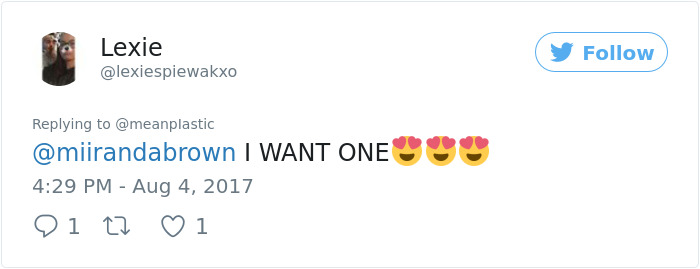 These Curly Cats Who All Descended From One Shelter Kitty Are Taking Internet By Storm