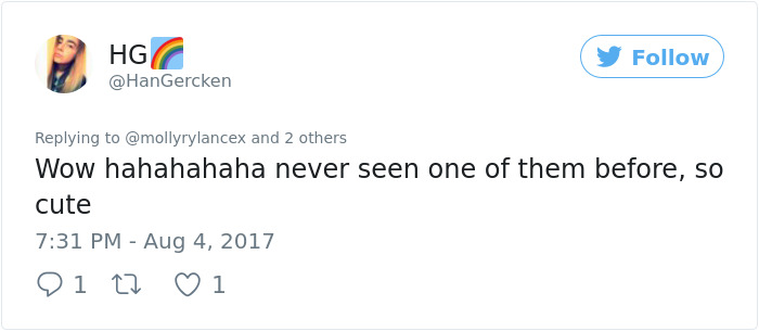 These Curly Cats Who All Descended From One Shelter Kitty Are Taking Internet By Storm