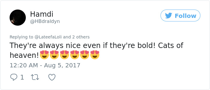 These Curly Cats Who All Descended From One Shelter Kitty Are Taking Internet By Storm