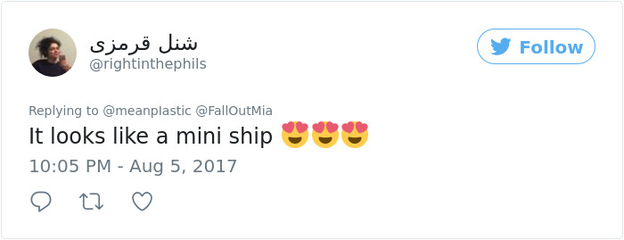 These Curly Cats Who All Descended From One Shelter Kitty Are Taking Internet By Storm