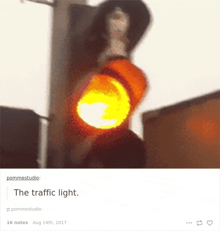 Funny-cat-pics-tumblr