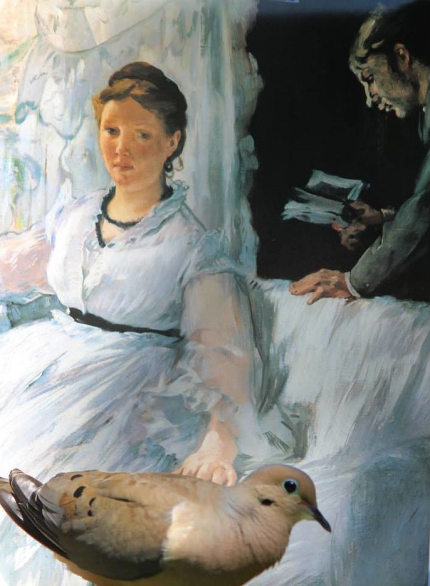 Artist Changes The Backdrop Of Her Birdhouse To Transform The Narrative Of How We View Art.