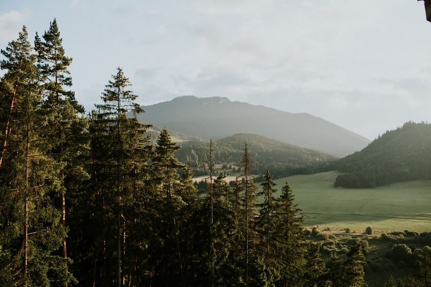 We Had No Photographer At Our Wedding, But The Result Is Awesome