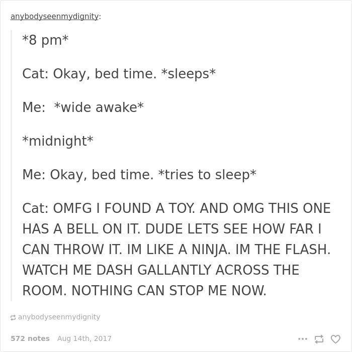 Funny-cat-pics-tumblr