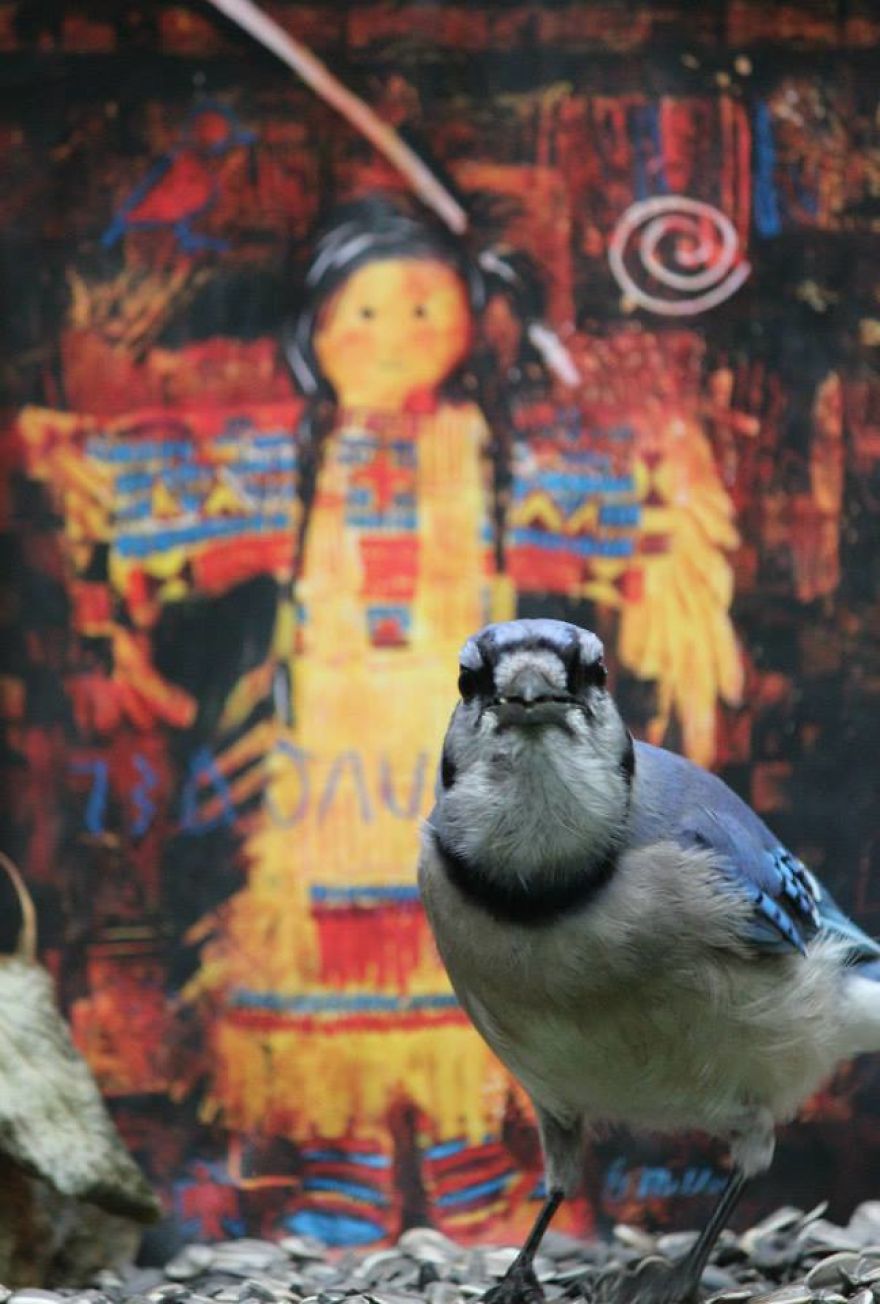 Artist Changes The Backdrop Of Her Birdhouse To Transform The Narrative Of How We View Art. Artist Changes The Backdrop Of Her Birdhouse To Transform The Narrative Of How We View Art.