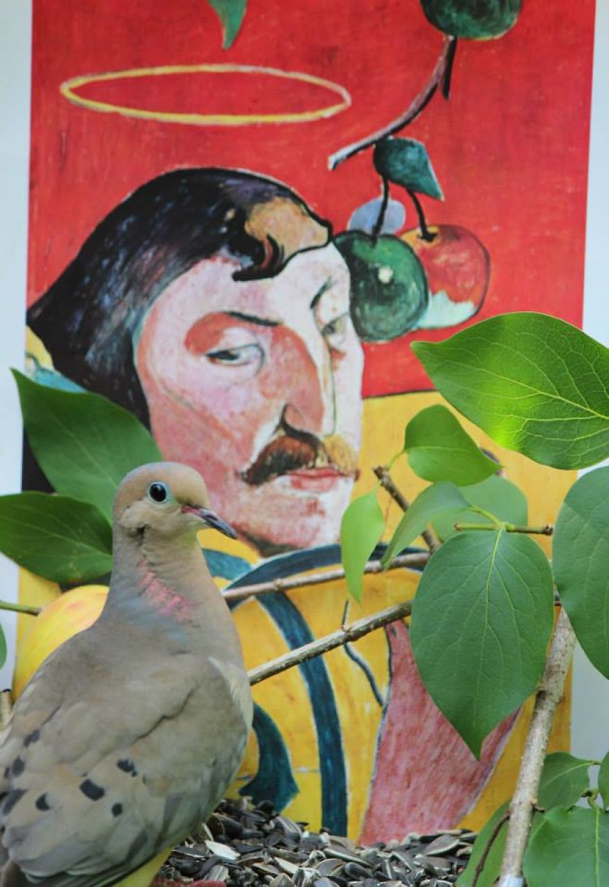 Artist Changes The Backdrop Of Her Birdhouse To Transform The Narrative Of How We View Art. Artist Changes The Backdrop Of Her Birdhouse To Transform The Narrative Of How We View Art.