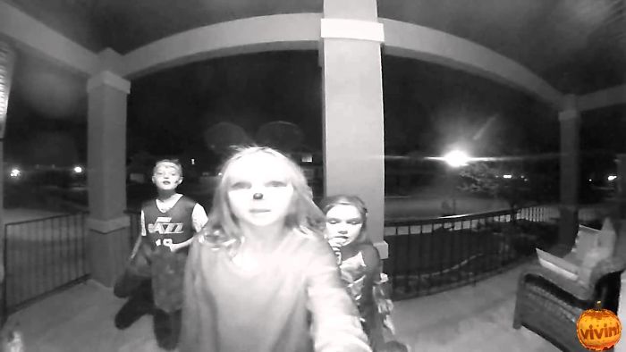 Top 9 Best Moments Captured On A Video Doorbell Camera