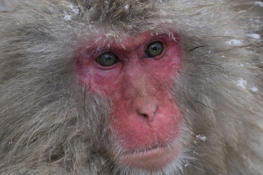 20 Images That Will Inspire You To Travel To Japan