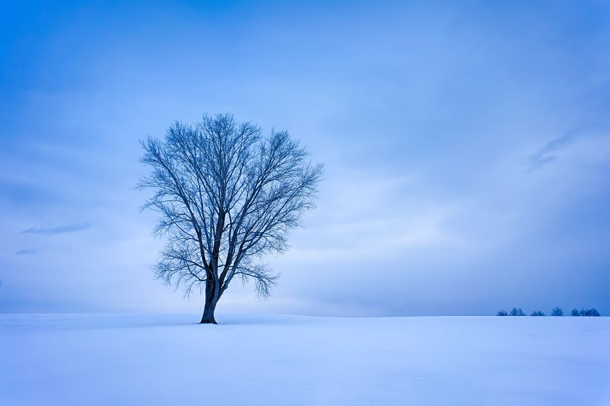 20 Images That Will Inspire You To Travel To Japan 20 Images That Will Inspire You To Travel To Japan