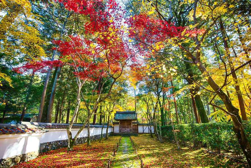 20 Images That Will Inspire You To Travel To Japan 20 Images That Will Inspire You To Travel To Japan