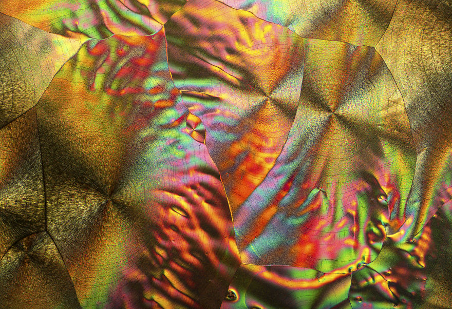 I've Spent The Past Year Photographing Crystalized Substances Through My Microscope