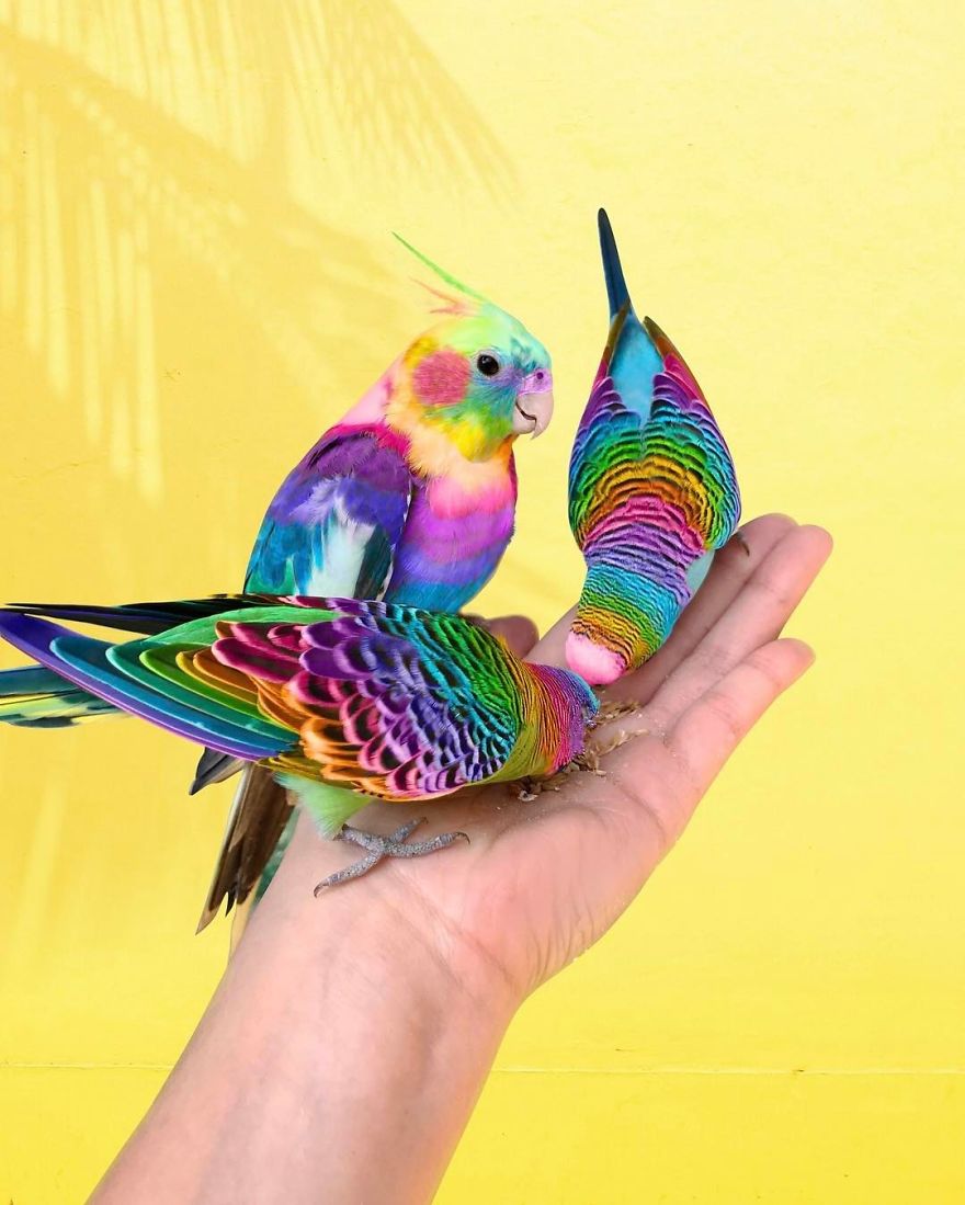 New York Artist Covers Everything In Rainbow Colors Gets Amazing Results.