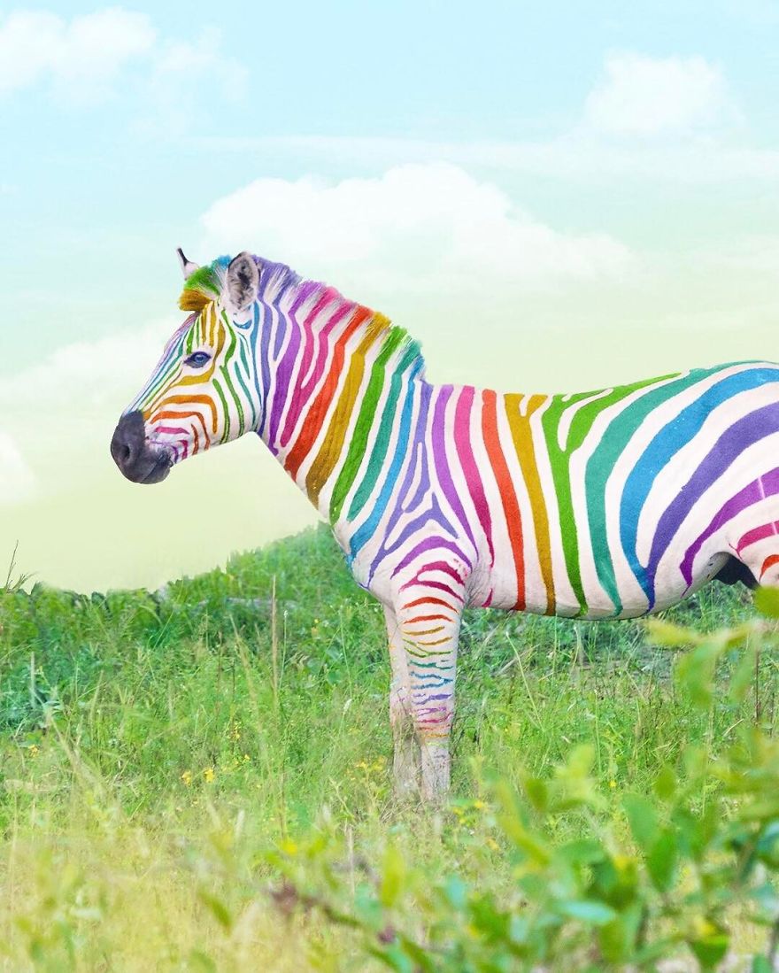 New York Artist Covers Everything In Rainbow Colors Gets Amazing Results.