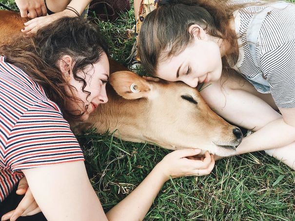 Never Ending Cuddles