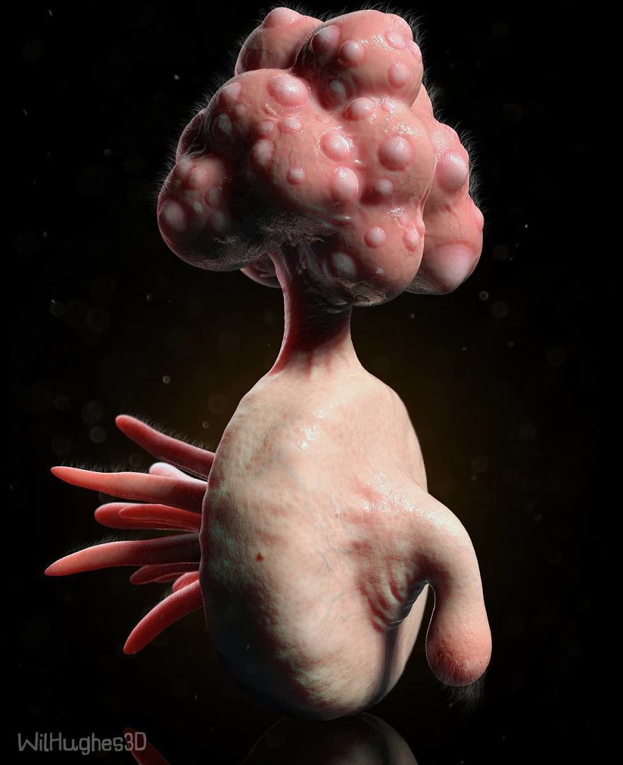 Plumbus