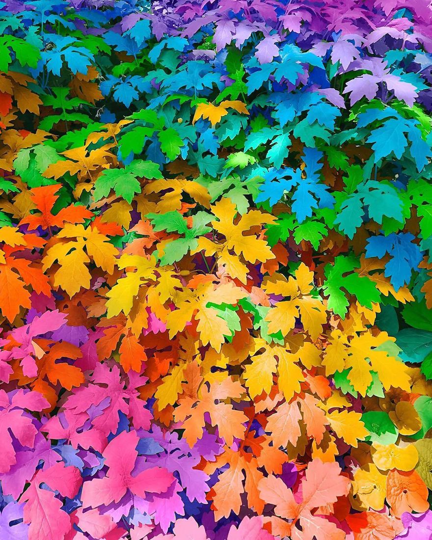 New York Artist Covers Everything In Rainbow Colors Gets Amazing Results.