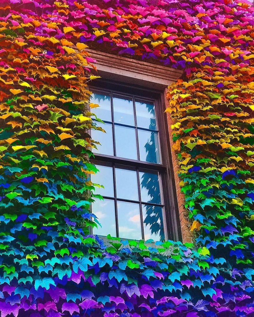 New York Artist Covers Everything In Rainbow Colors Gets Amazing Results.