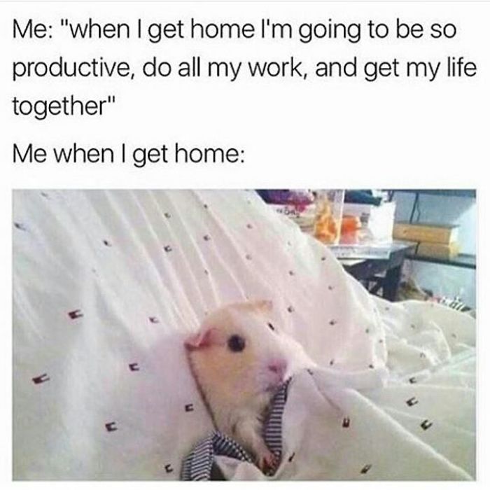 Funny-procrastination-memes