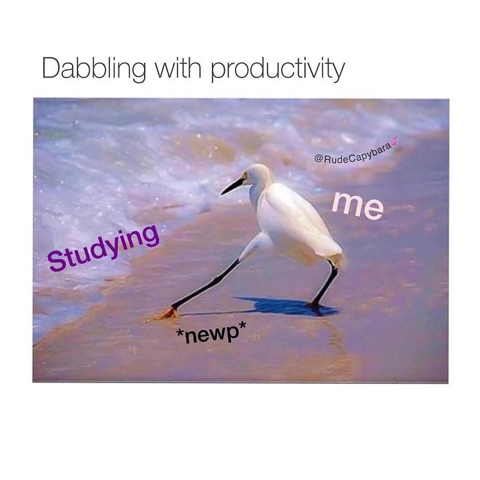 Funny-procrastination-memes