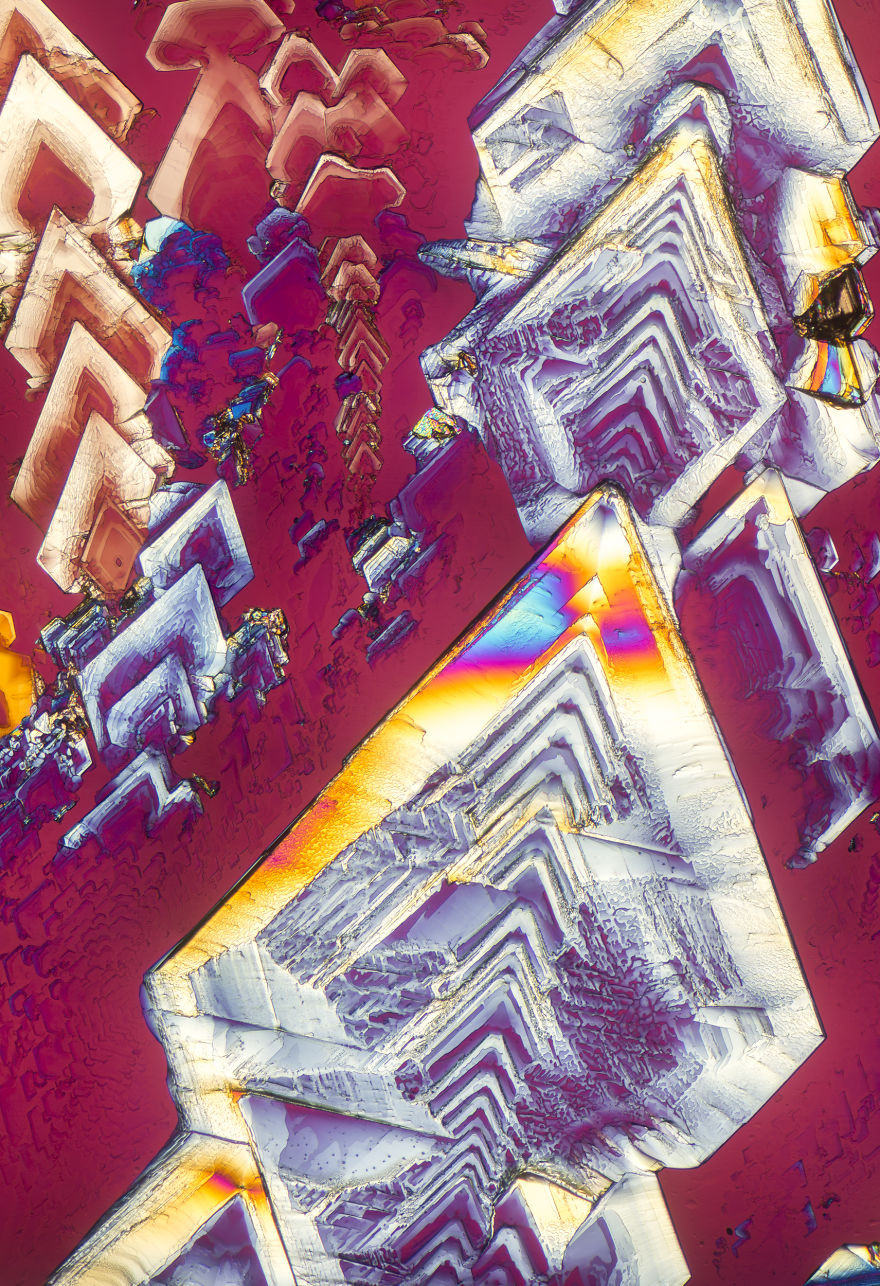 I've Spent The Past Year Photographing Crystalized Substances Through My Microscope