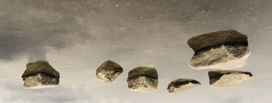My Photography Captures Everyday Views Of Our World From Puddle Reflections