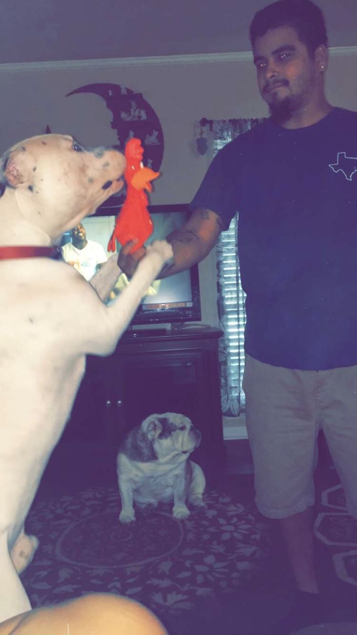 He Is Only Four Months Old Lol