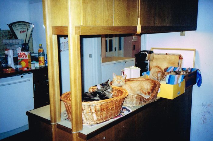 It Started With A Single Box For Potatoes